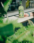 The Clásico Lime 3-Pack – All-Natural Cocktail & Mocktail Mixers